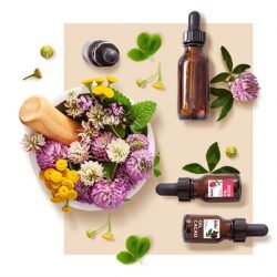essential oils manufacturer in india